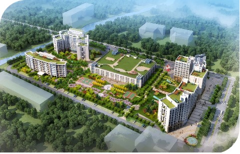 ����(�й���) - �ٷ���վ