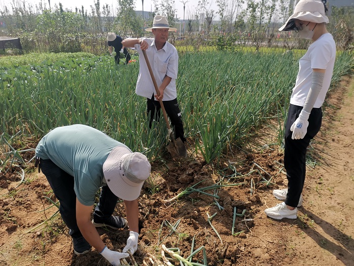 ����(�й���) - �ٷ���վ