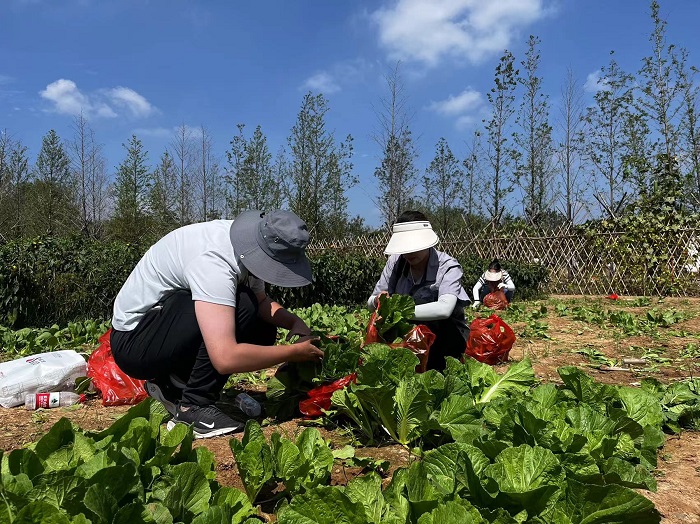 ����(�й���) - �ٷ���վ